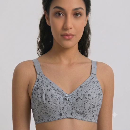 صورة Raj Bra Regular Non-Padded Non-Wired (237)