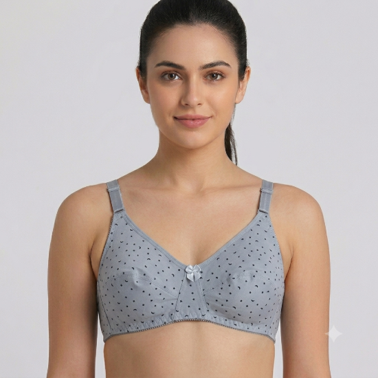 صورة Raj Bra Regular Non-Padded Non-Wired (604)