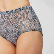 Picture of Everyday Perfect Panty