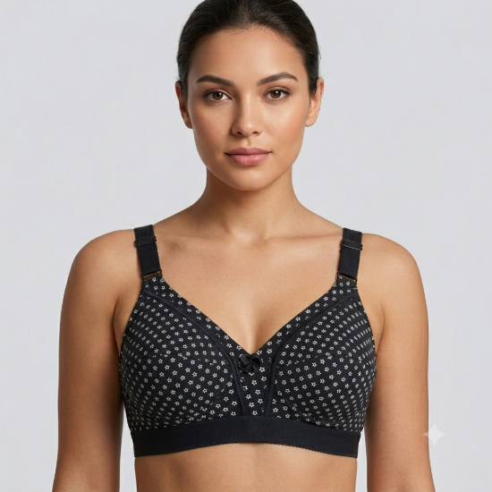 صورة Raj Bra Regular Soft Padded Non-Wired (234)