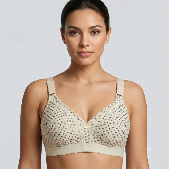 صورة Raj Bra Regular Soft Padded Non-Wired (234)