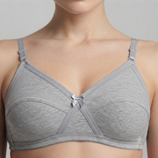 صورة Raj Bra Regular Non-Padded Non-Wired (107)
